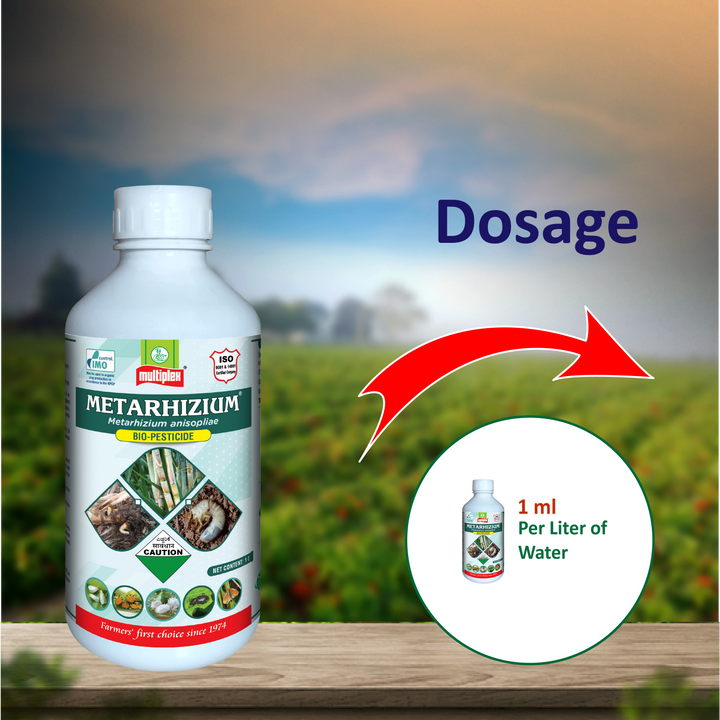 Multiplex Metarhizium Insecticide (Liquid)