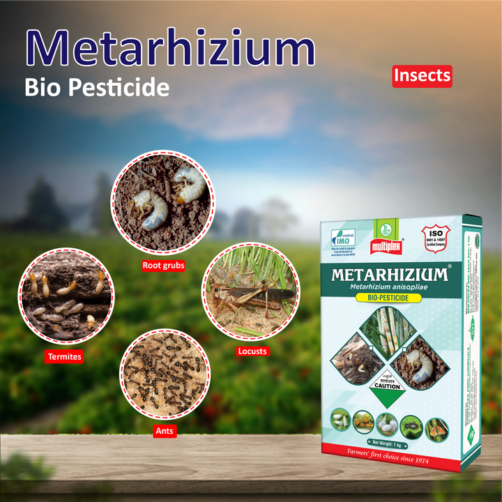 Multiplex Metarhizium Insecticide - 1 kG