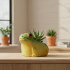 Frog Clay Pot Planter