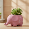 Baby Elephant Clay Pot