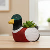 Duck Clay Pot Planter