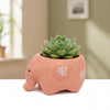 Baby Elephant Clay Pot