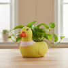 Duck Clay Pot Planter