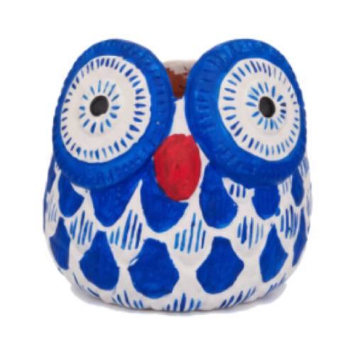 Owl Clay Pot