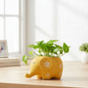 Baby Elephant Clay Pot
