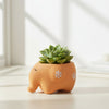 Baby Elephant Clay Pot