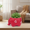 Baby Elephant Clay Pot