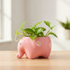 Baby Elephant Clay Pot