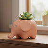 Baby Elephant Clay Pot