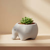 Baby Elephant Clay Pot