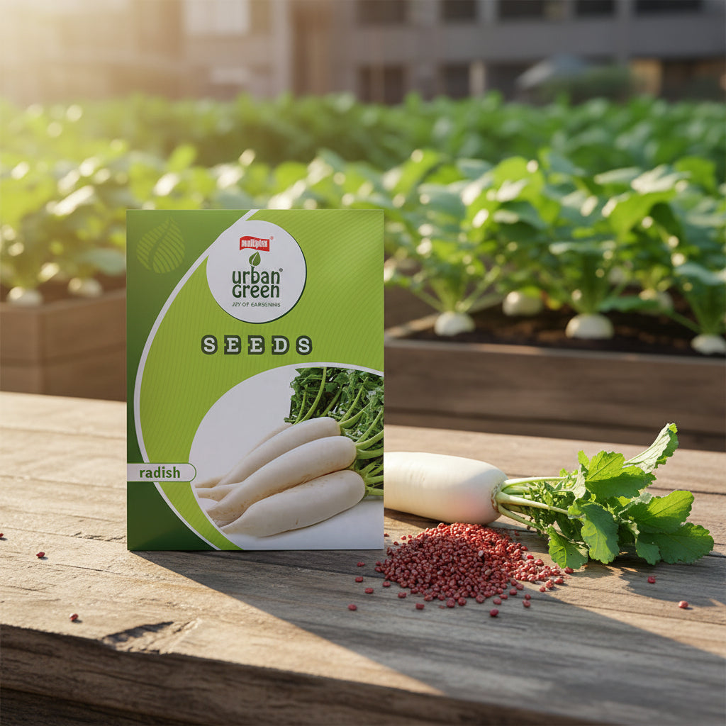 Radish Seeds