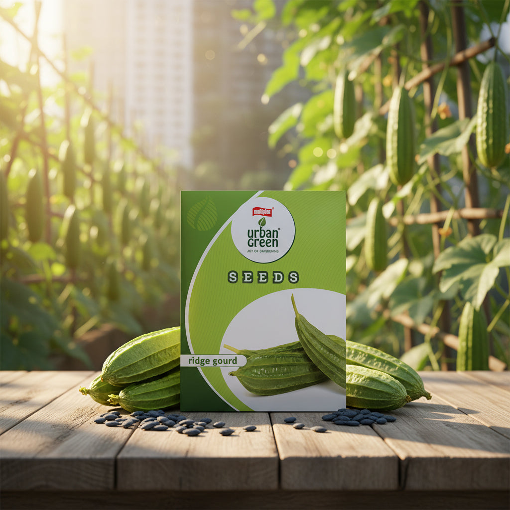 Ridge Gourd Seeds