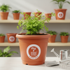 Nursery Pot 12 Round Big