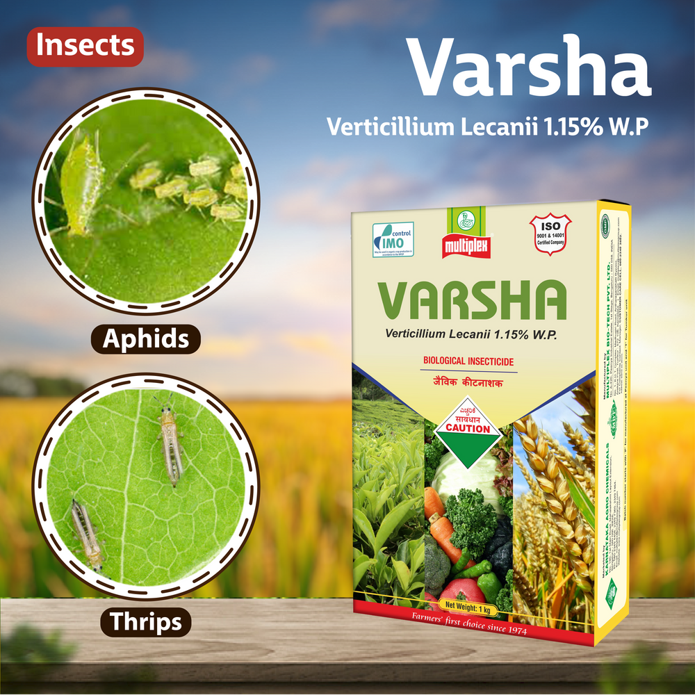 Multiplex Varsha (Verticillium lecanii) Powder -1 KG