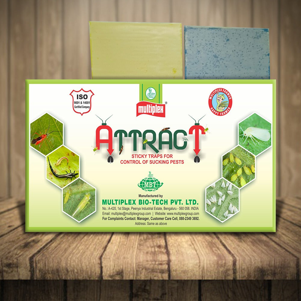 Multiplex Attract Sticky Traps