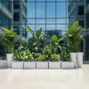 FRP Small Square Planter – White