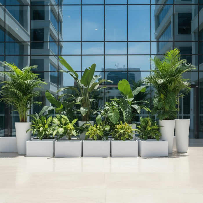 FRP Small Square Planter – White
