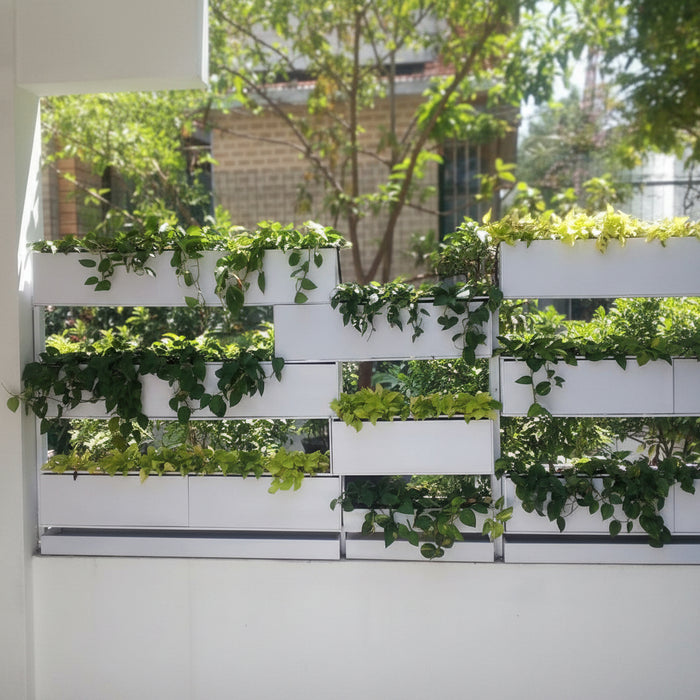 FRP Wall Planter – White