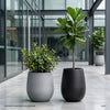 FRP Round Bulb Planter – White & Black